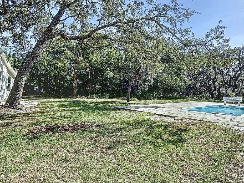 6602 Winding Brook Drive New Port Richey FL 34655 TB8391237 image16