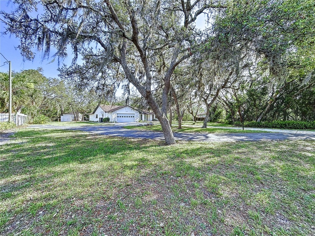 6602 Winding Brook Drive New Port Richey FL 34655 TB8391237 image18