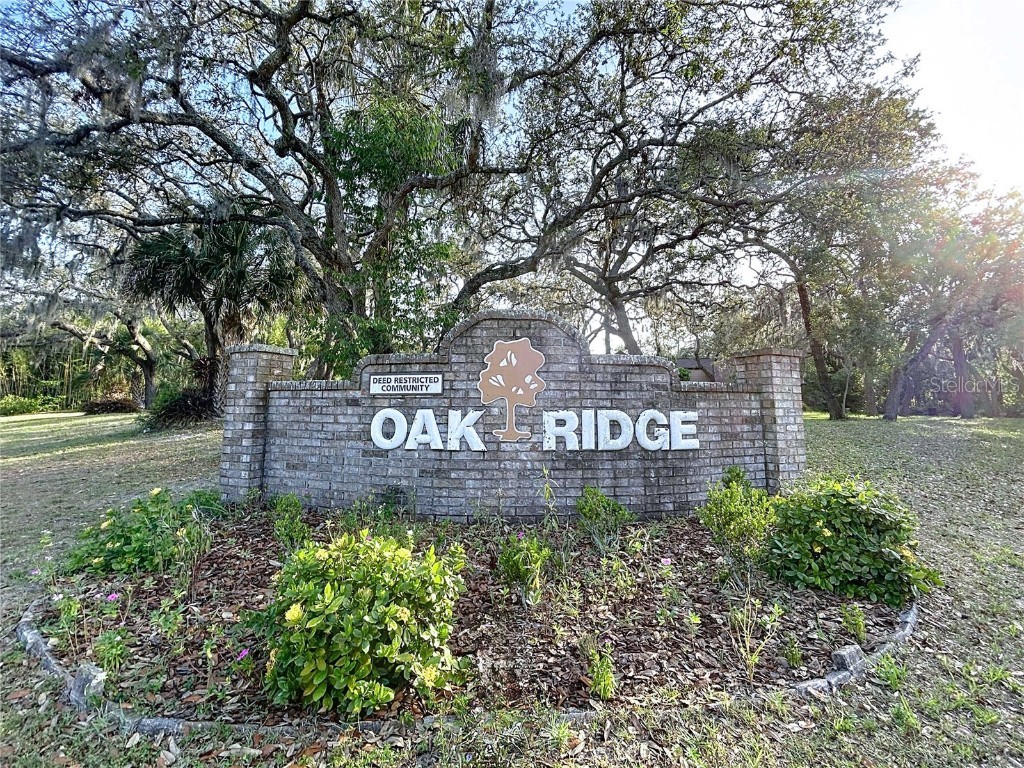 6602 Winding Brook Drive New Port Richey FL 34655 TB8391237 image19