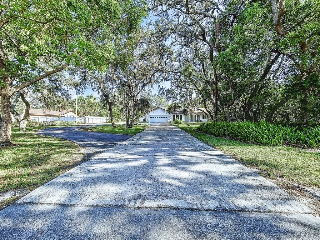 6602 Winding Brook Drive New Port Richey FL 34655 TB8391237 image48