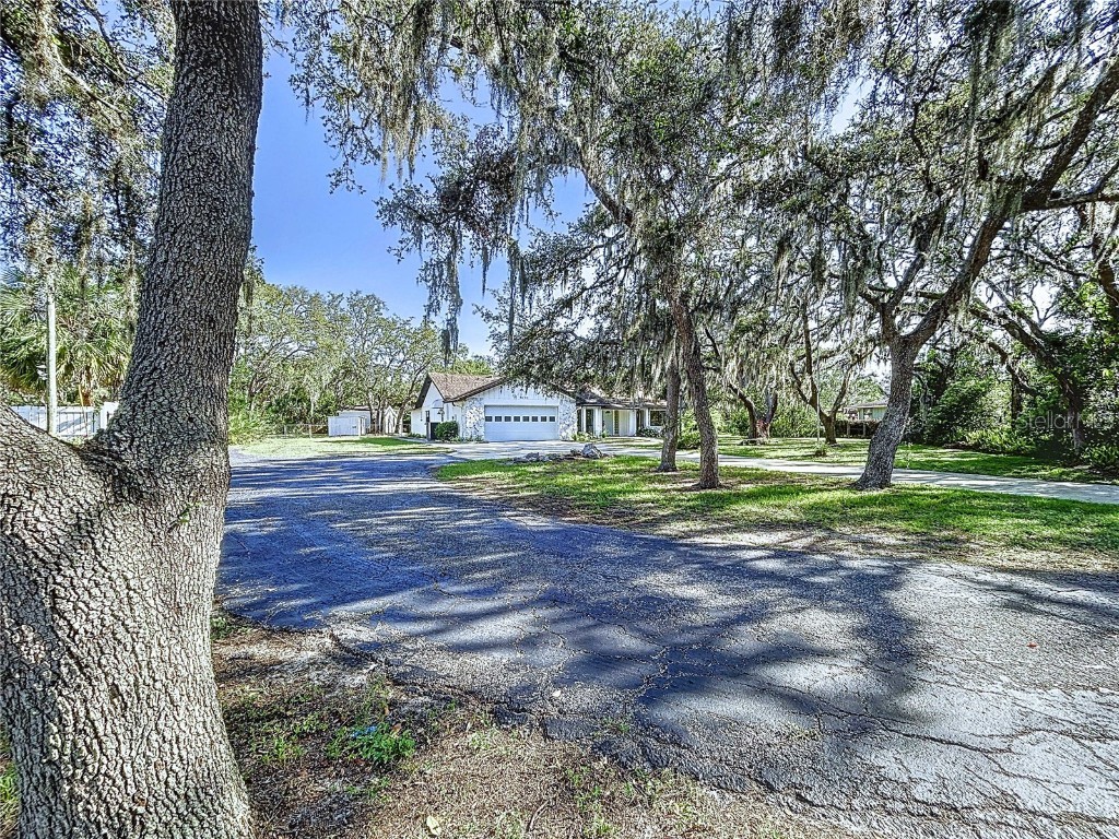 6602 Winding Brook Drive New Port Richey FL 34655 TB8391237 image49