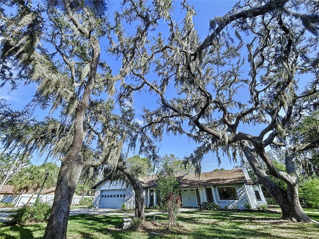 6602 Winding Brook Drive New Port Richey FL 34655 TB8391237 image50