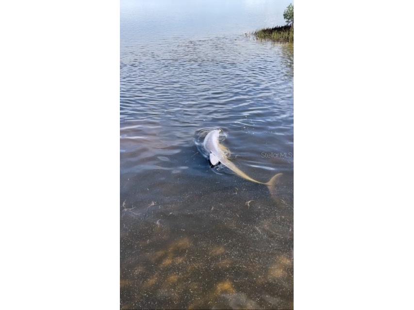 6603 Driftwood Drive Hudson FL 34667 - GULF OF AMERICA W7880160 image75