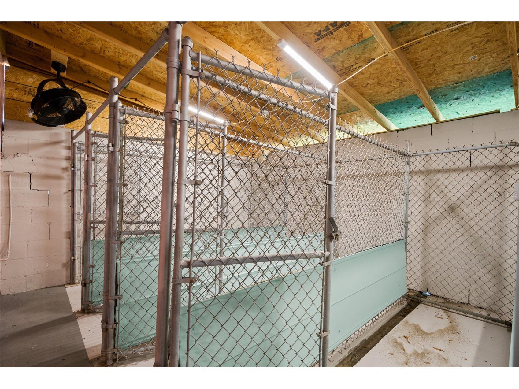 6603 N Florida Avenue Tampa FL 33604 TB8517857 image27