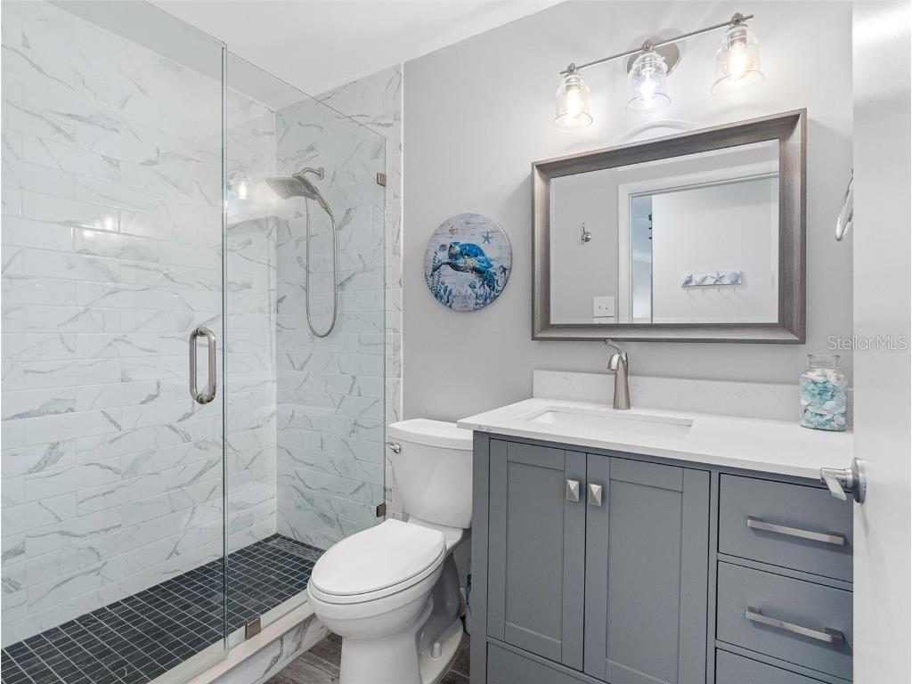 6604 Dolphin Cove Drive Apollo Beach FL 33572 TB8381851 image39