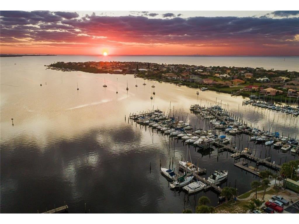 6604 Dolphin Cove Drive Apollo Beach FL 33572 TB8381851 image53