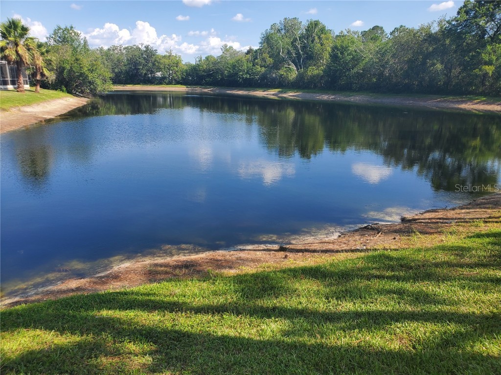 6604 Magnolia Point Drive Land O Lakes FL 34637 - MAGNOLIA POND U8218393 image1