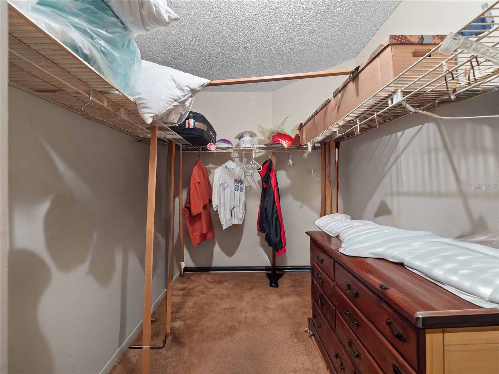 6604 Mt Plymouth Road Apopka FL 32712 O6374052 image14