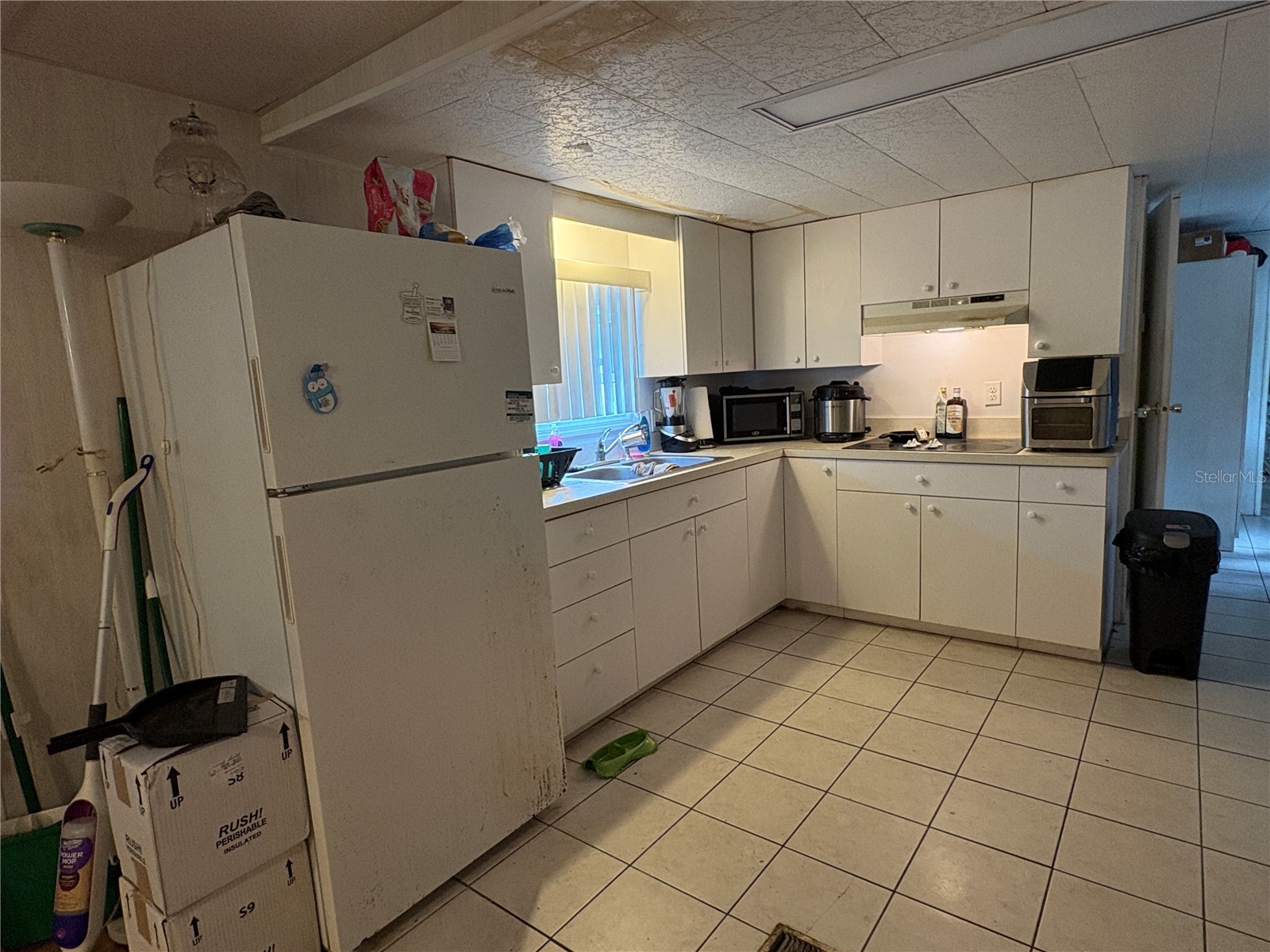 6605 Durian Trail New Port Richey FL 34653 TB8510898 image29