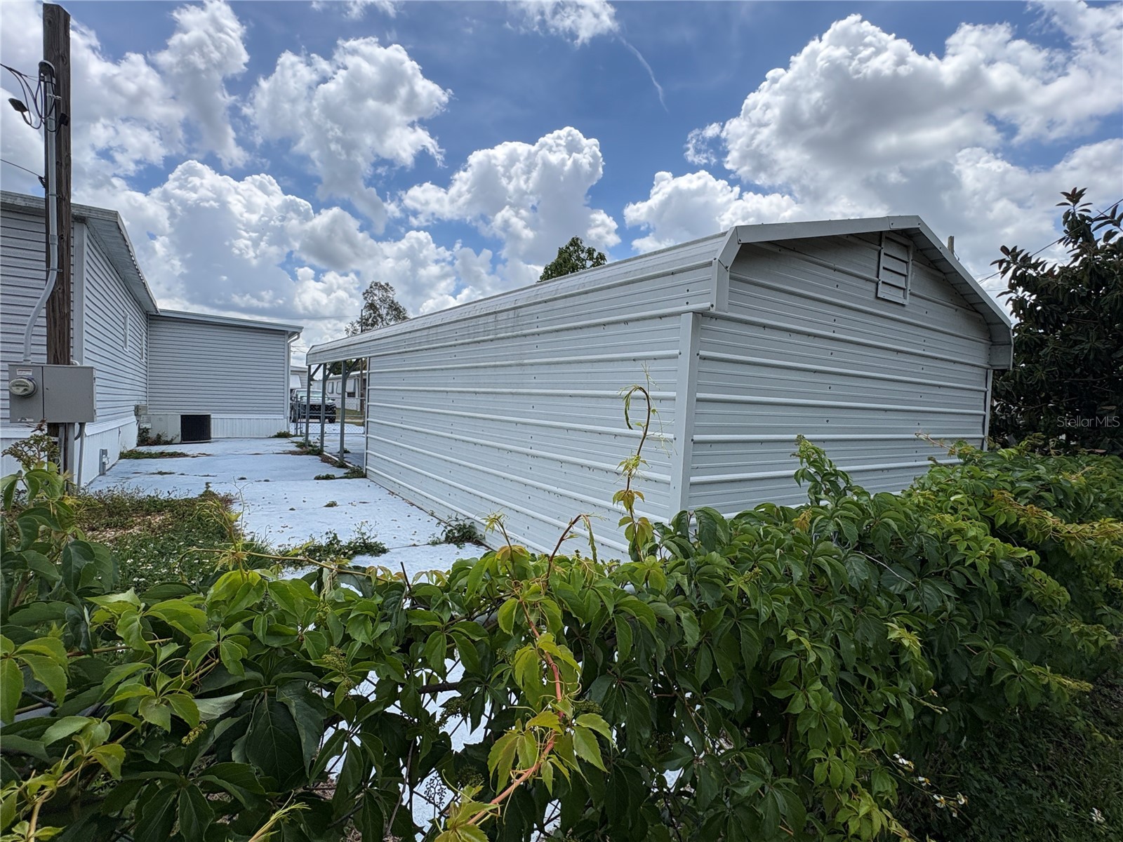 6605 Durian Trail New Port Richey FL 34653 TB8510898 image5