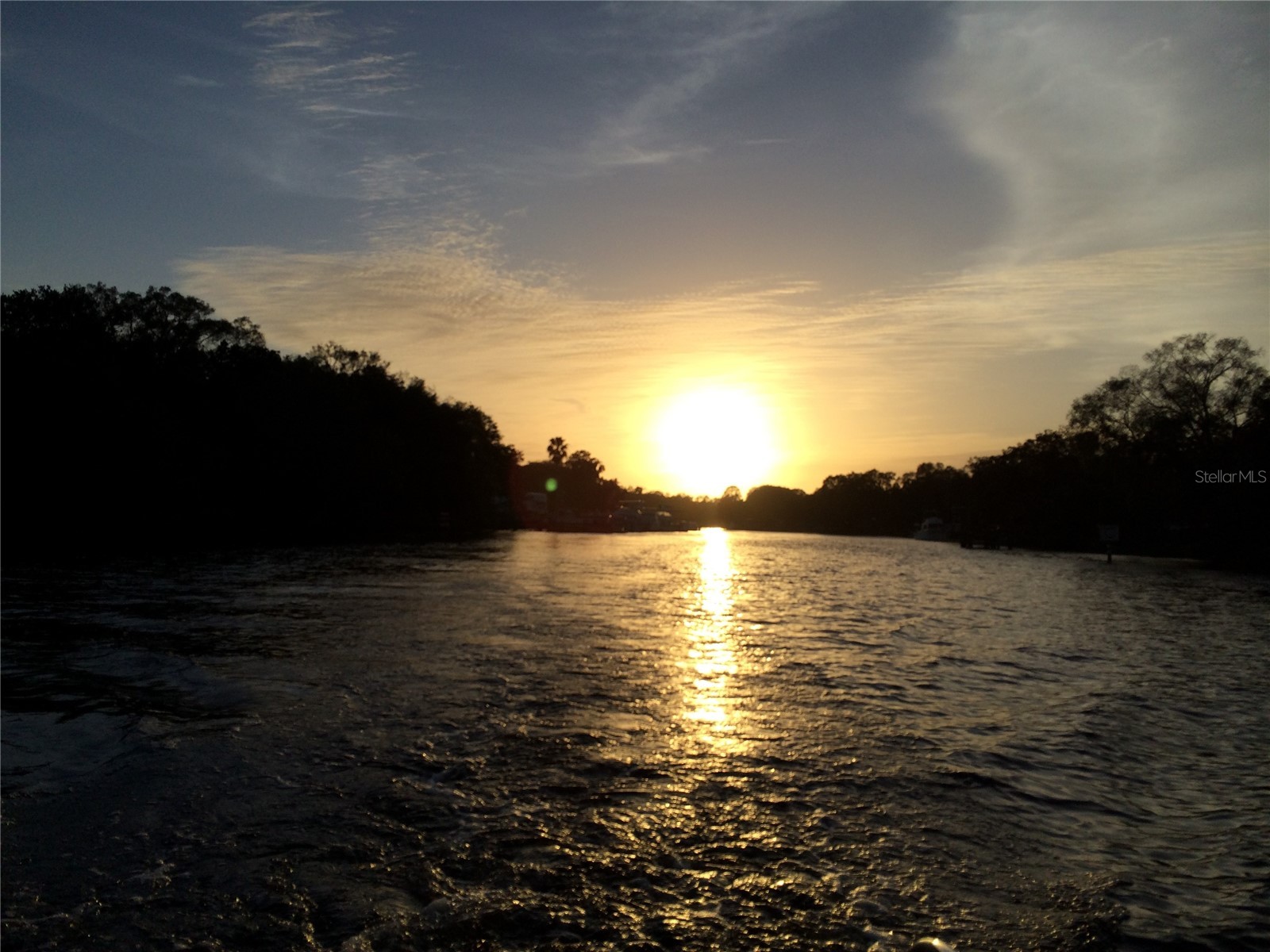 6605 N Boulevard Tampa FL 33604 - HILLSBOROUGH RIVER TB8492747 image15