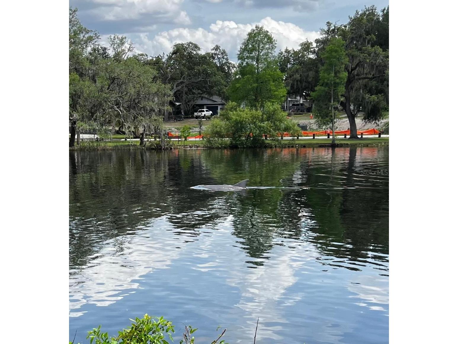 6605 N Boulevard Tampa FL 33604 - HILLSBOROUGH RIVER TB8492747 image18