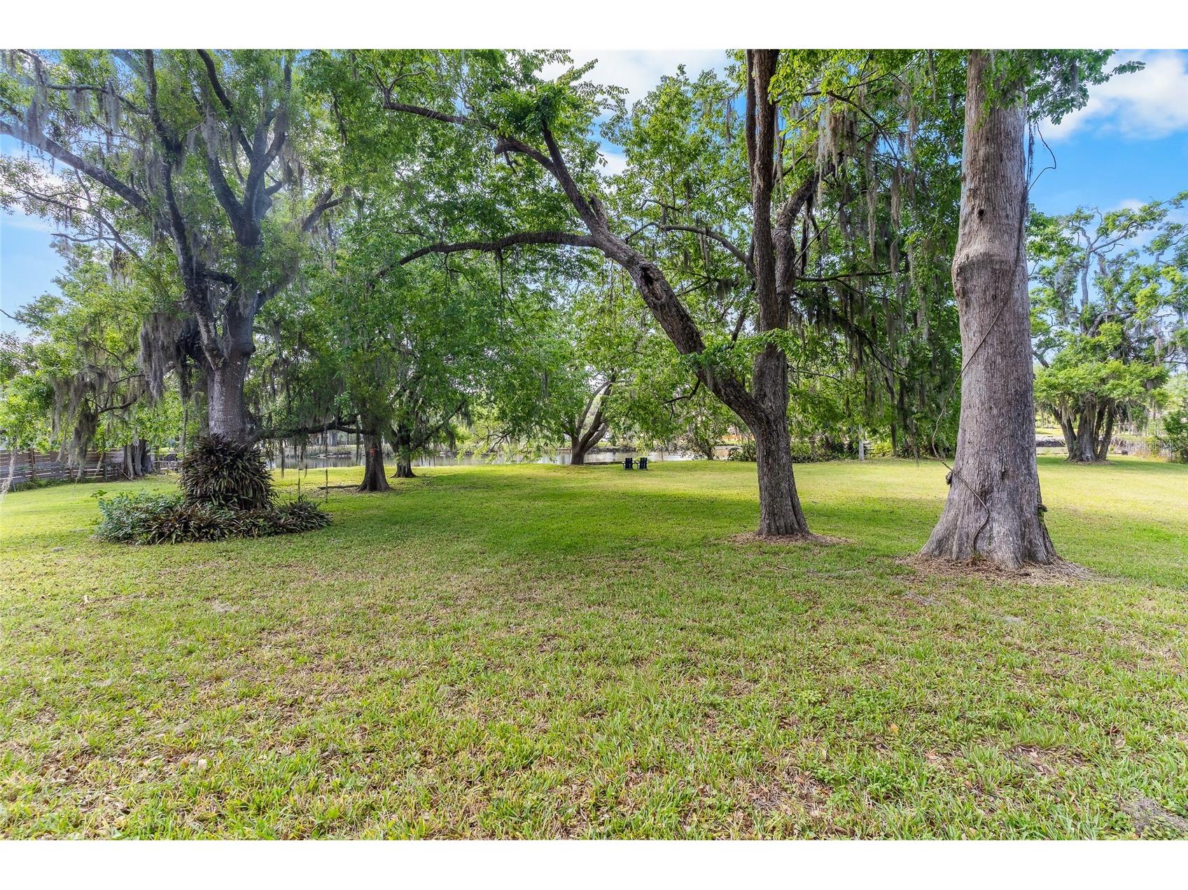 6605 N Boulevard Tampa FL 33604 - HILLSBOROUGH RIVER TB8492747 image2
