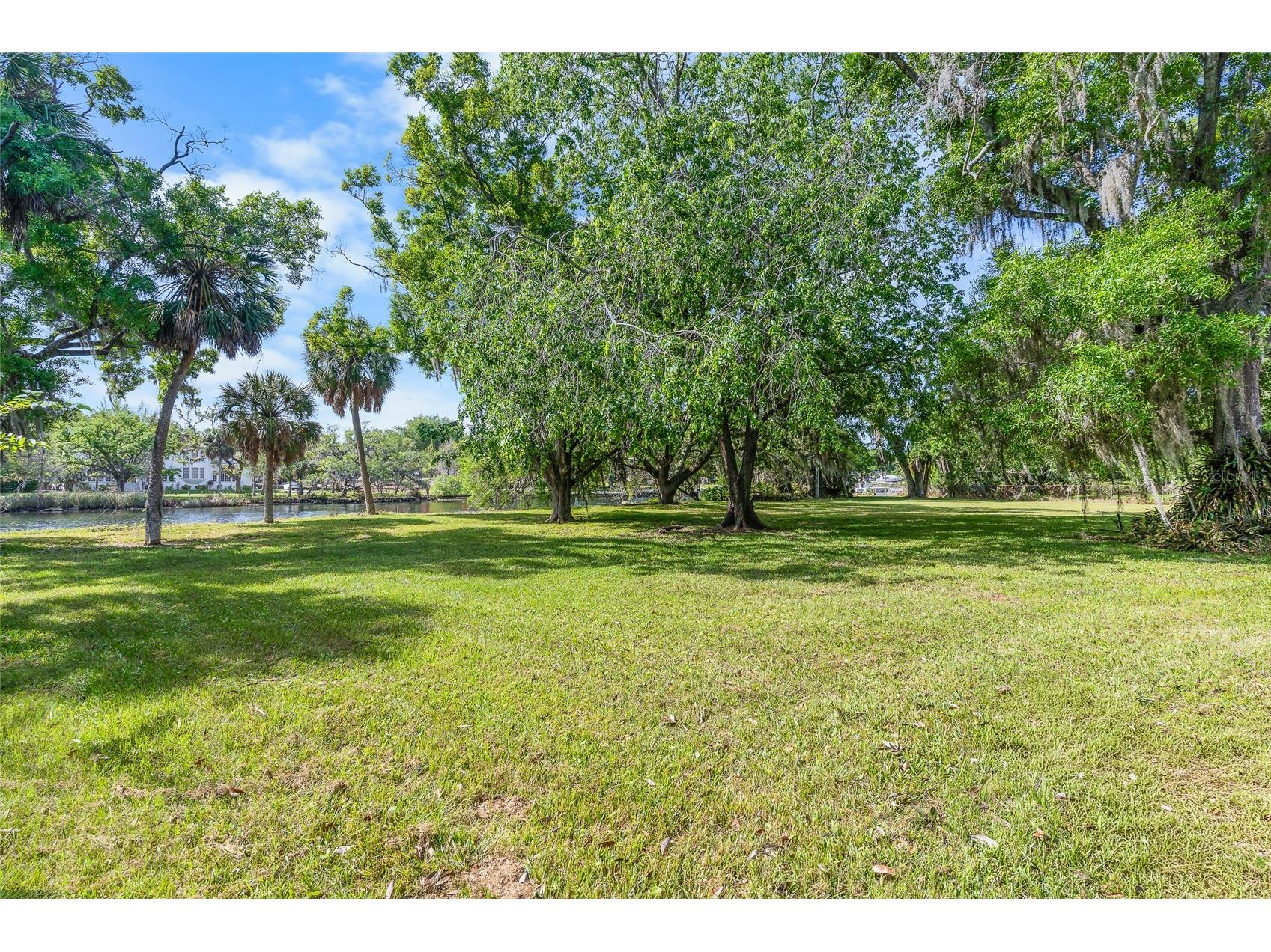 6605 N Boulevard Tampa FL 33604 - HILLSBOROUGH RIVER TB8492747 image4