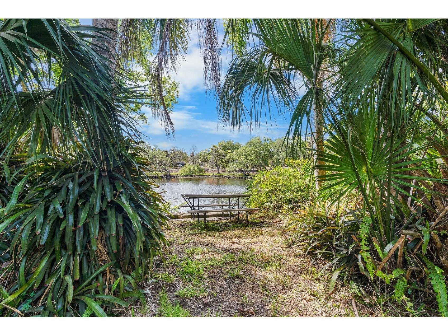 6605 N Boulevard Tampa FL 33604 - HILLSBOROUGH RIVER TB8492747 image9