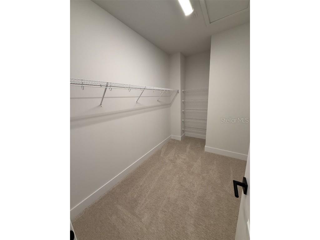 6605 N Nebraska Avenue #10 Tampa FL 33604 TB8449662 image17