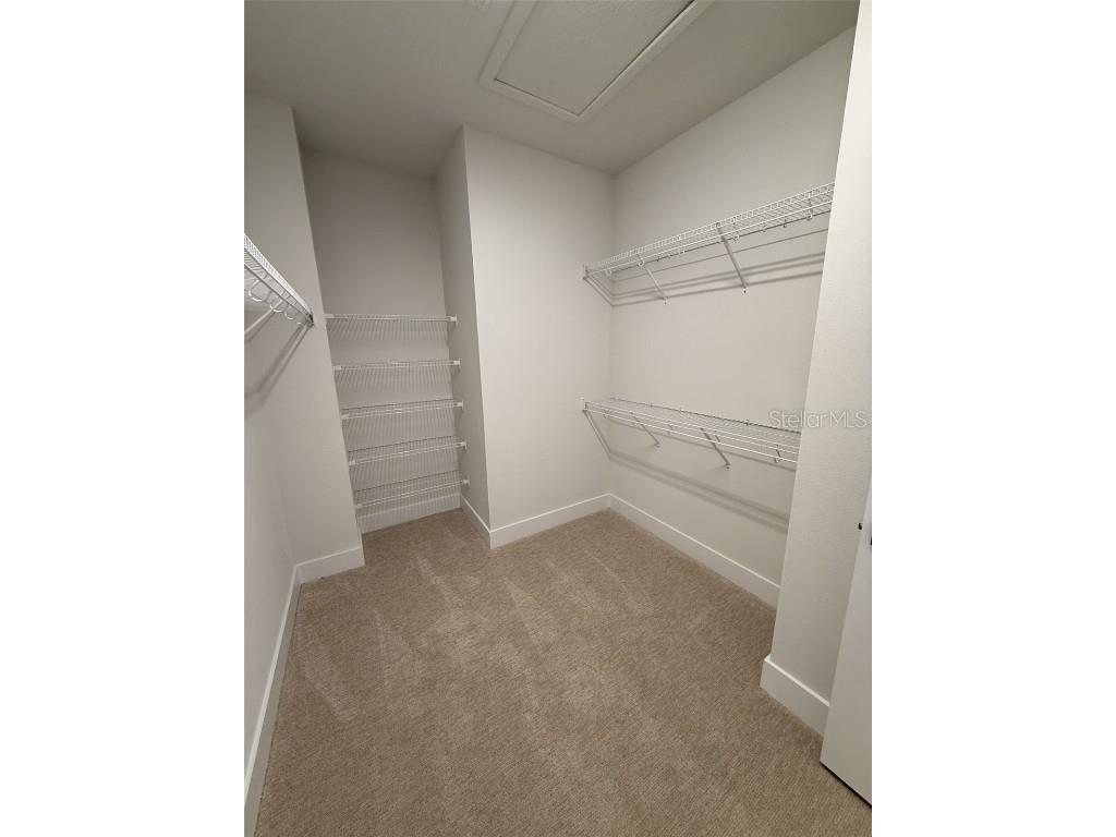 6605 N Nebraska Avenue #10 Tampa FL 33604 TB8449662 image18