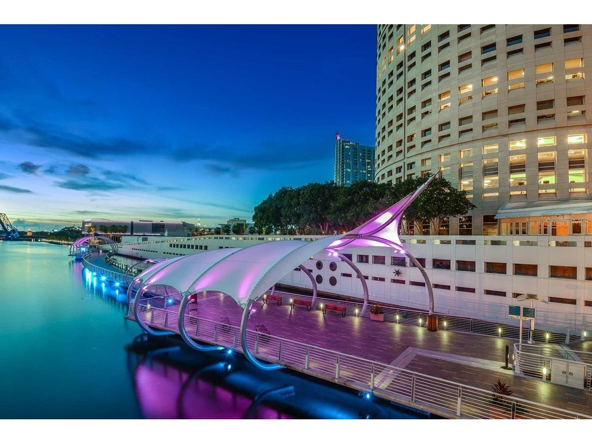 6605 N Nebraska Avenue #4 Tampa FL 33604 TB8483357 image13