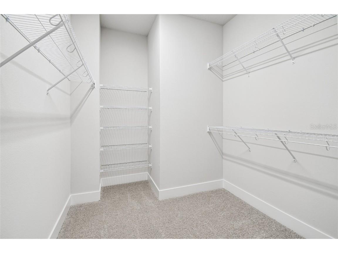 6605 N Nebraska Avenue #6 Tampa FL 33604 TB8448052 image26