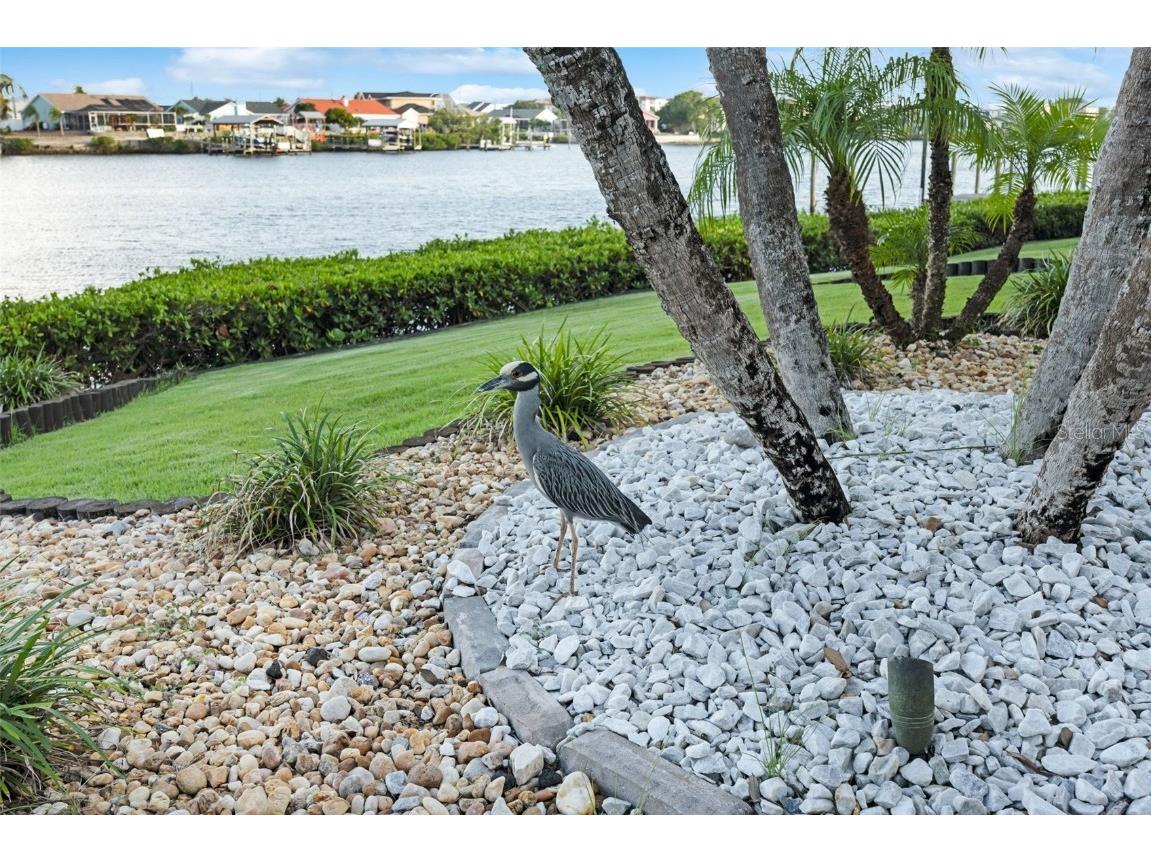 6605 Seabird Way Apollo Beach FL 33572 TB8402476 image49