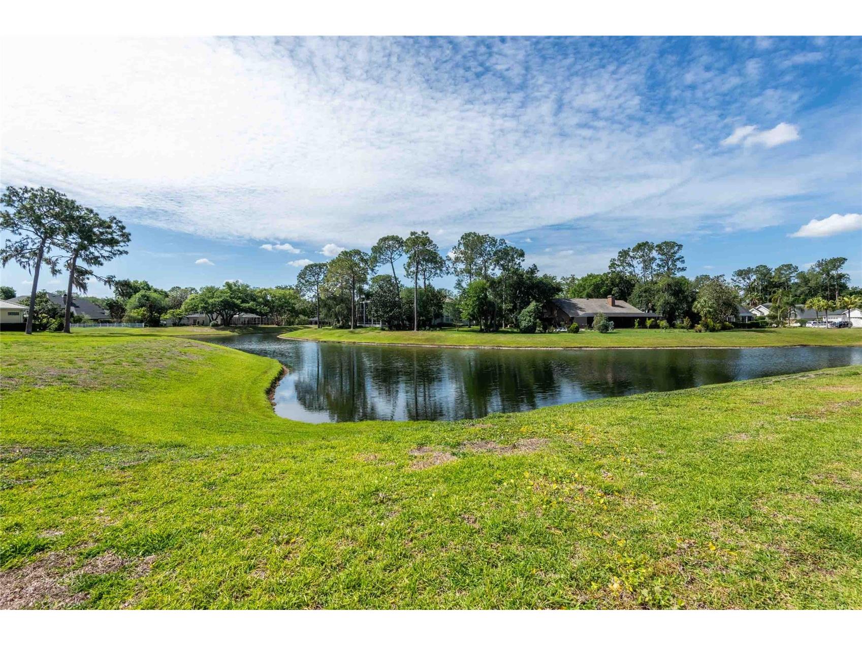 6605 Stonington Drive N Tampa FL 33647 TB8501869 image59