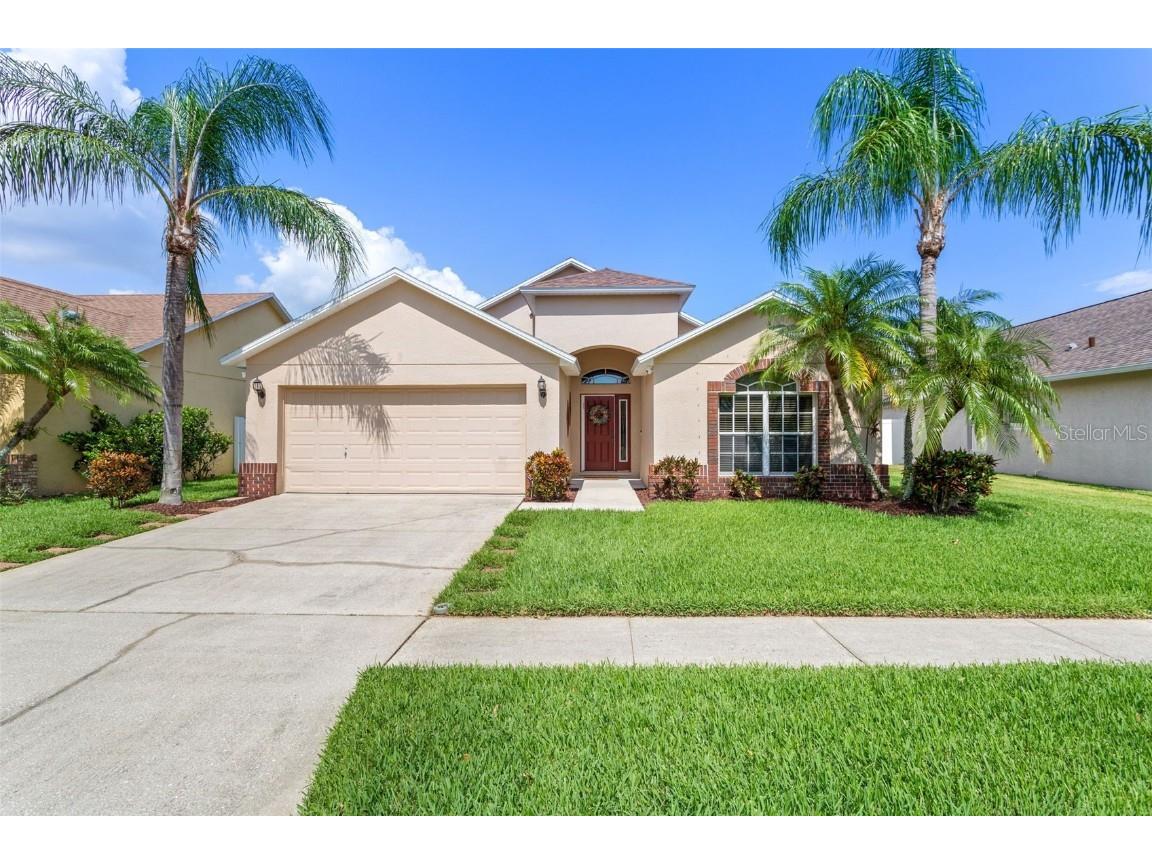 6605 Thackston Drive Riverview FL 33578 T3454518 image1
