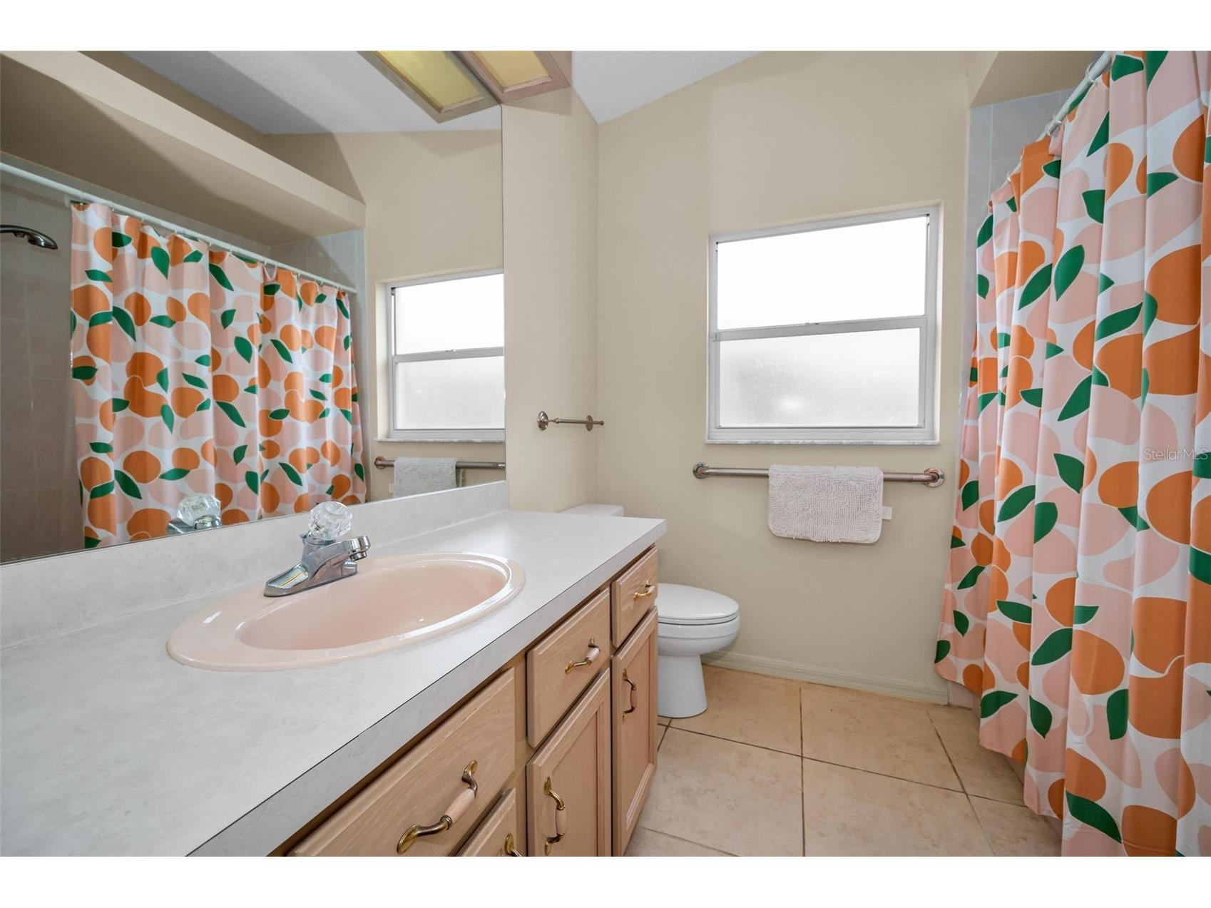 6606 Garden Palm Court New Port Richey FL 34655 W7881811 image25