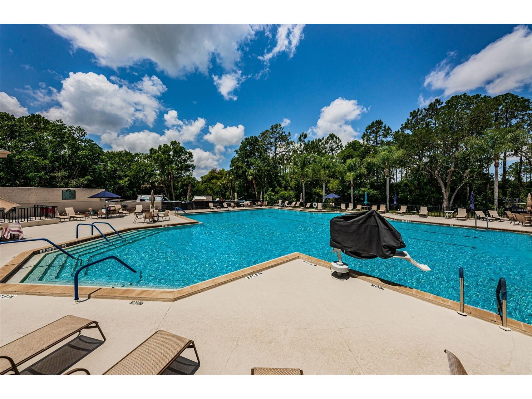 6606 Garden Palm Court New Port Richey FL 34655 W7881811 image48