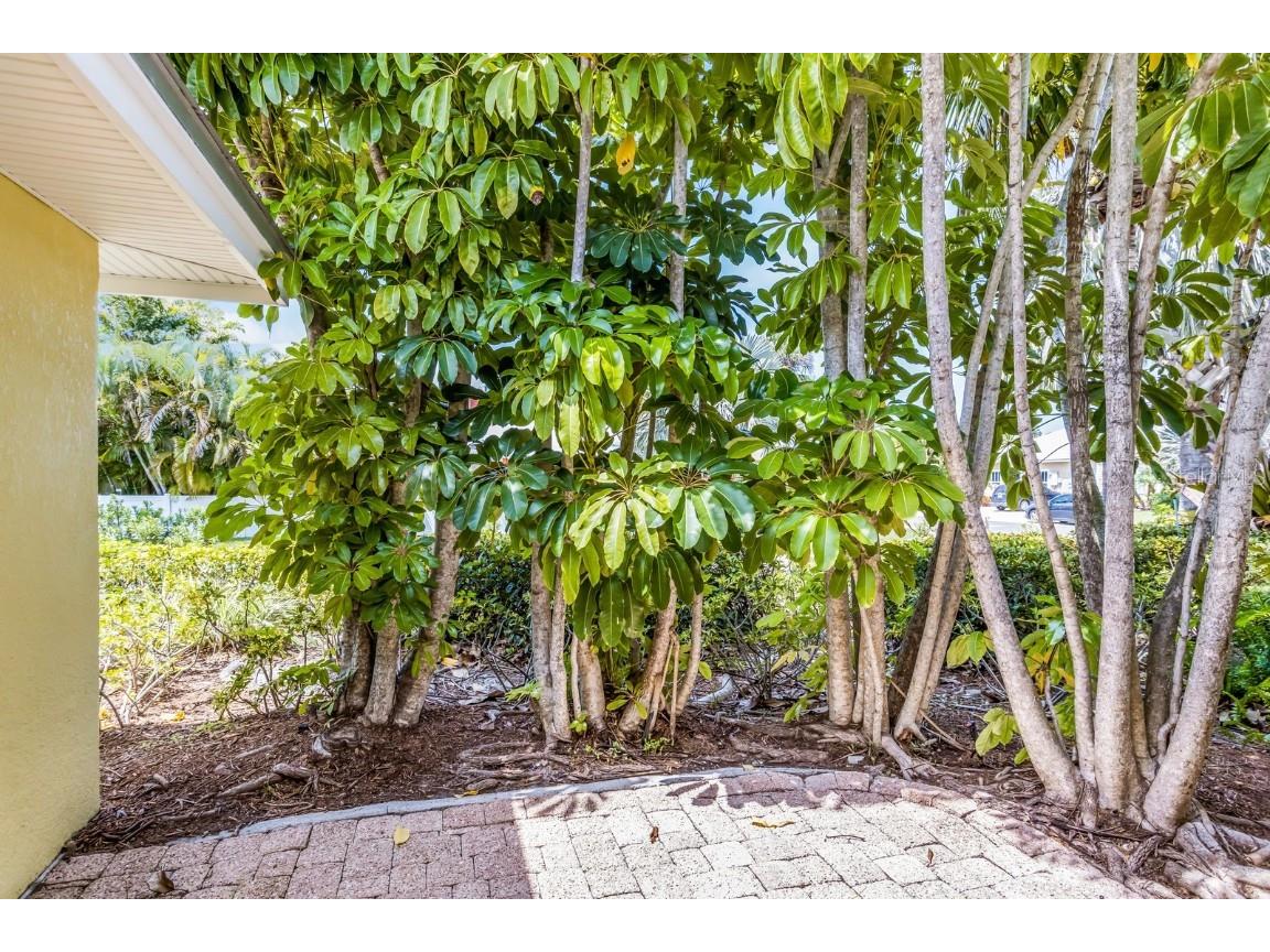 6606 Holmes Boulevard #3 Holmes Beach FL 34217 A4639824 image30