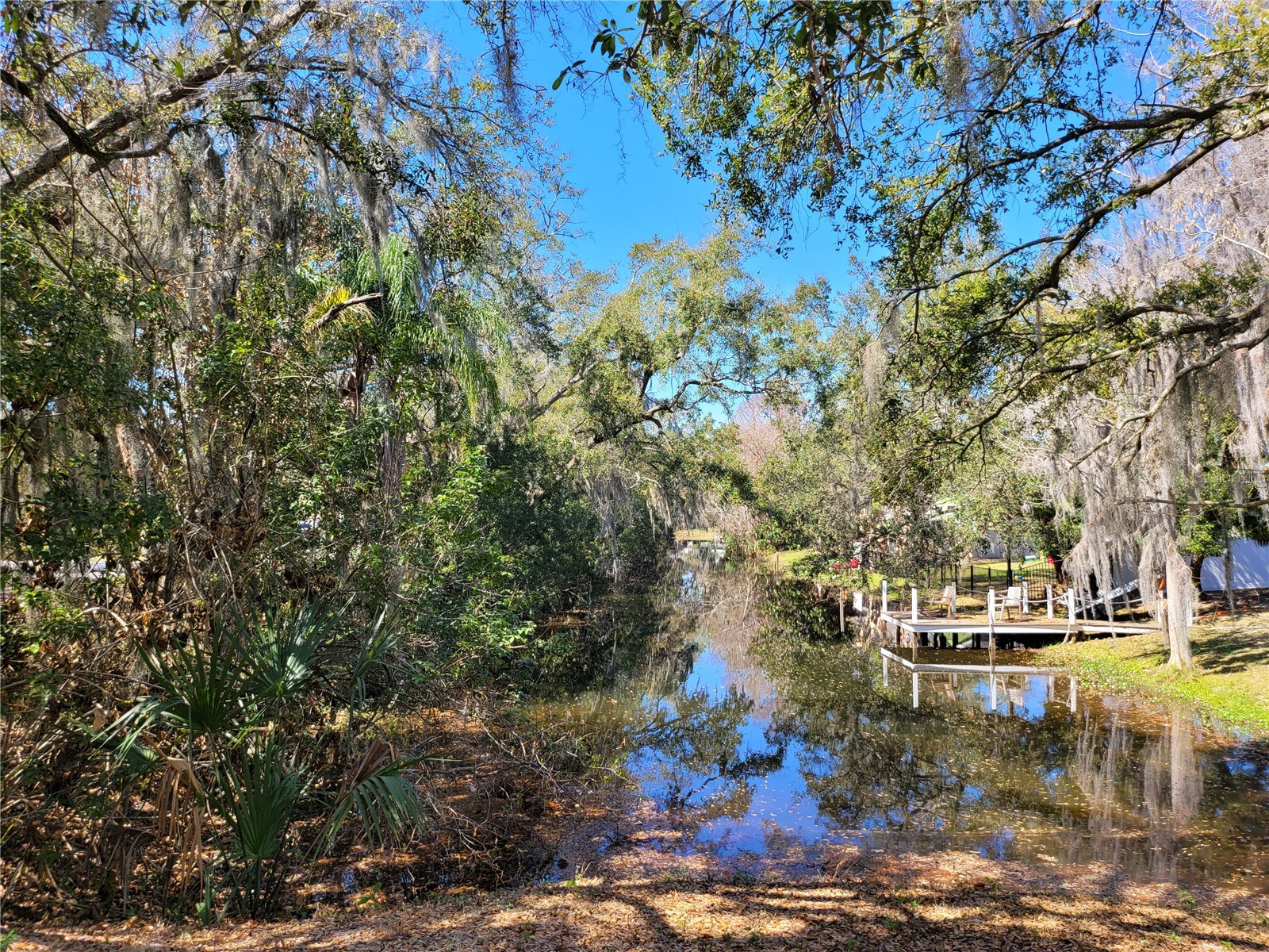 6606 Sawyer Shores Lane Windermere FL 34786 - LAKE SAWYER O6408952 image3