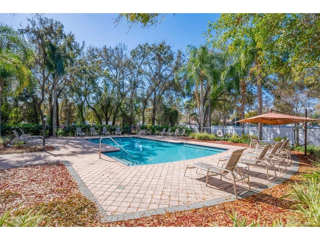 6607 Shining Sun Court Tampa FL 33634 TB8478877 image29