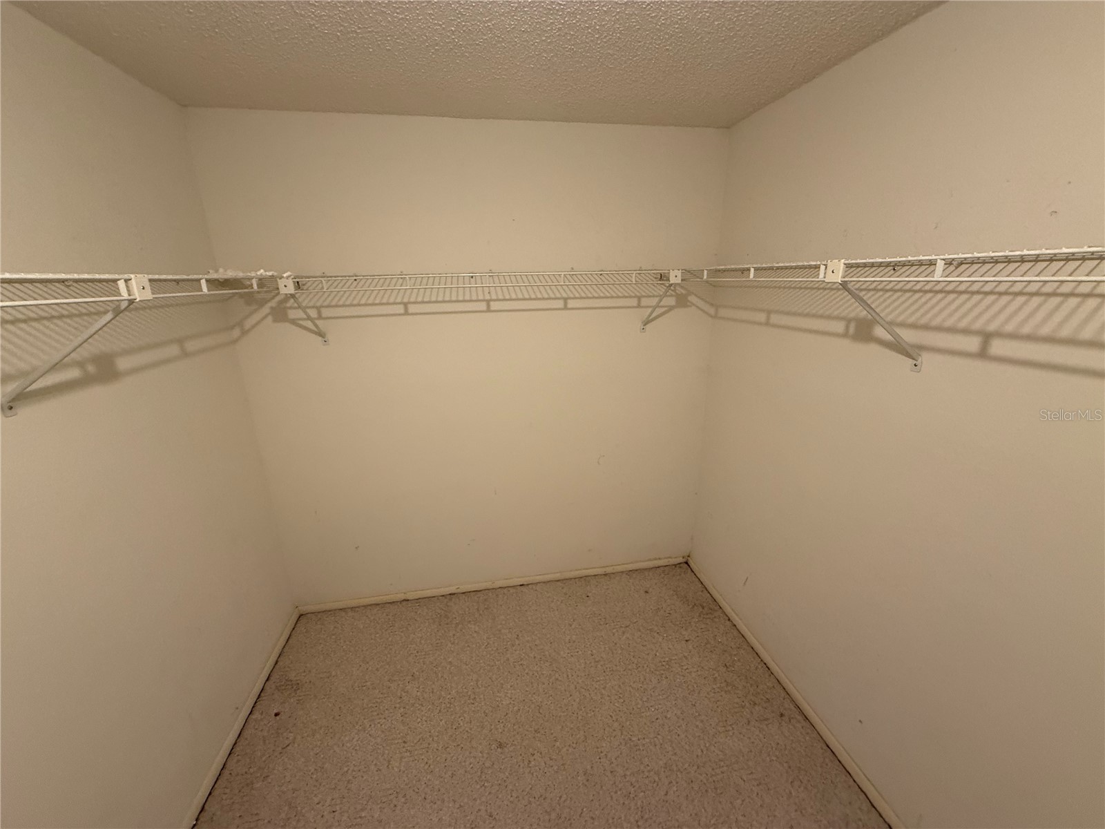 6608 36th Avenue Drive W Bradenton FL 34209 TB8489917 image13