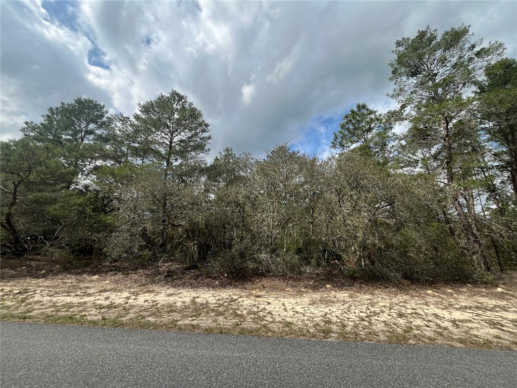 6608 N Hazelwood Drive Citrus Springs FL 34433 OK223772 image1