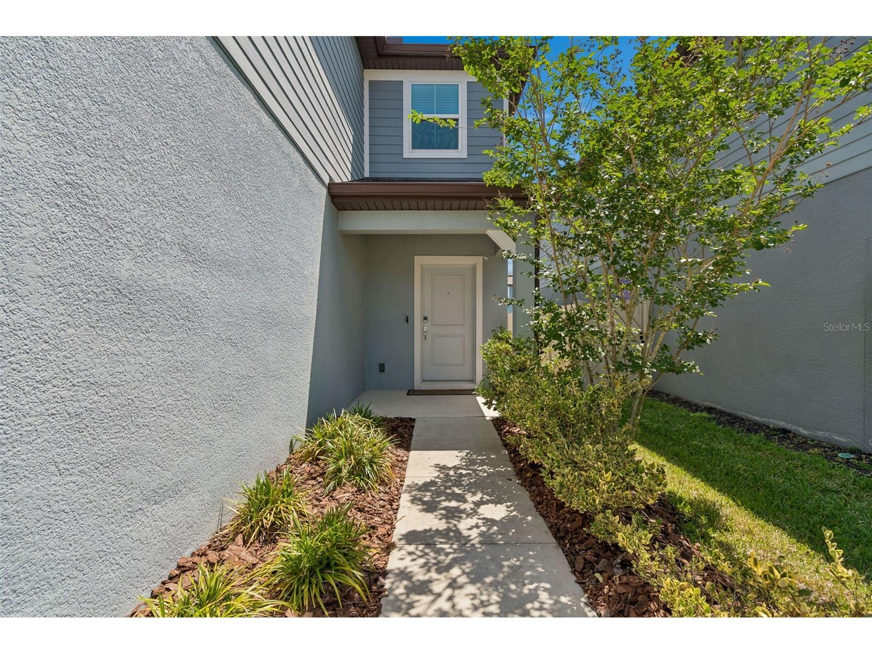 6608 Ryestone Way Wesley Chapel FL 33545 TB8500042 image10