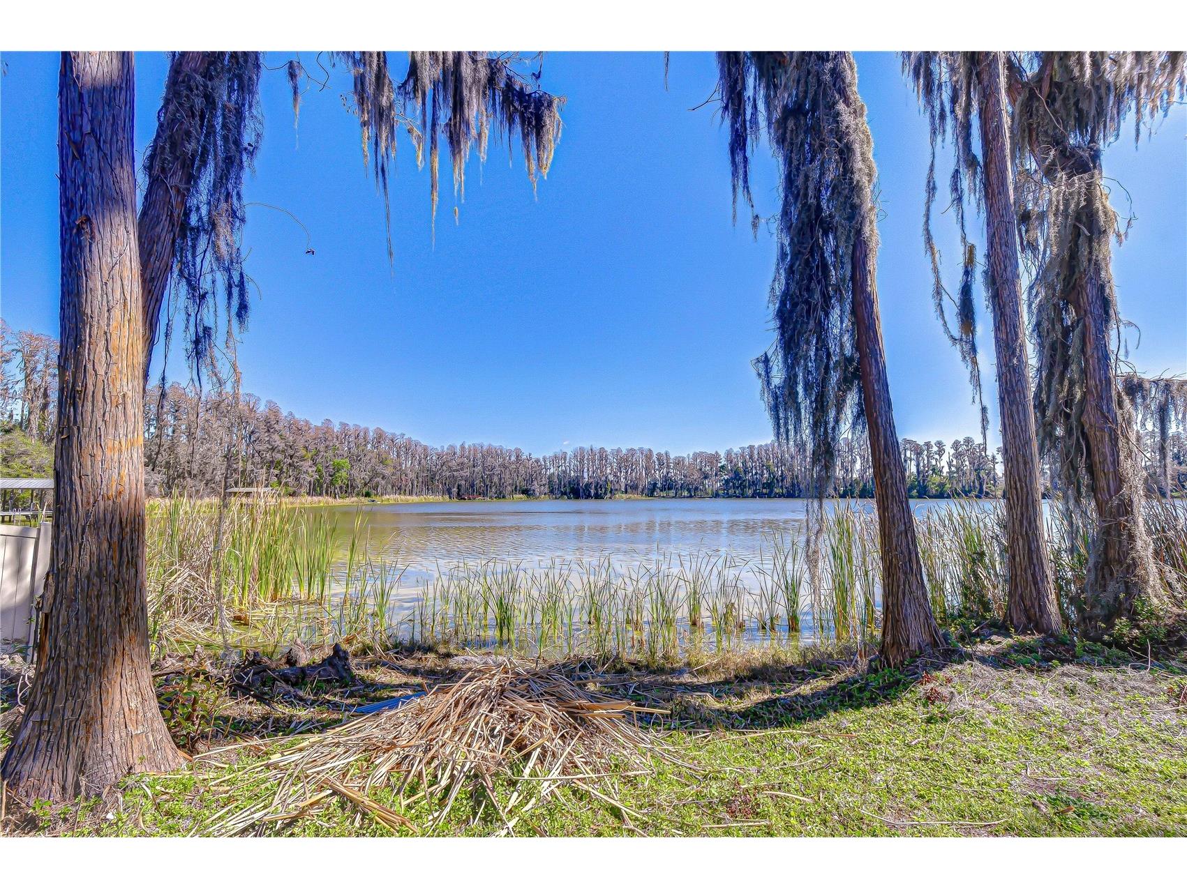 6608 Wisteria Loop Land O Lakes FL 34638 - LAKE THOMAS TB8480079 image1