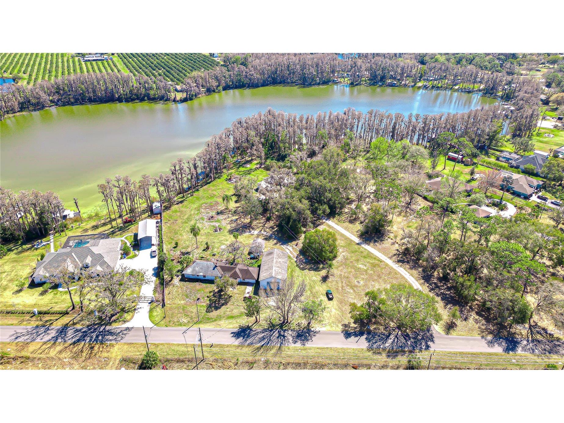 6608 Wisteria Loop Land O Lakes FL 34638 - LAKE THOMAS TB8480079 image11