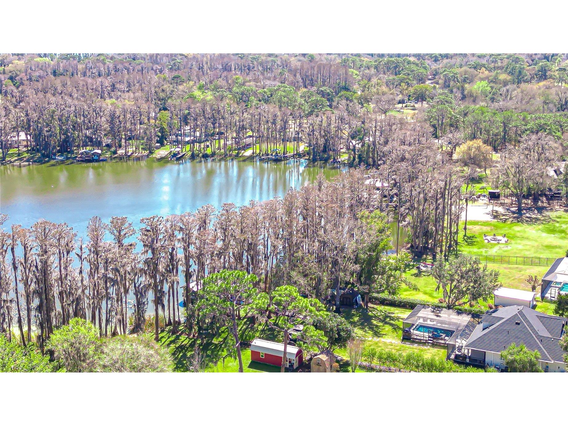 6608 Wisteria Loop Land O Lakes FL 34638 - LAKE THOMAS TB8480079 image13