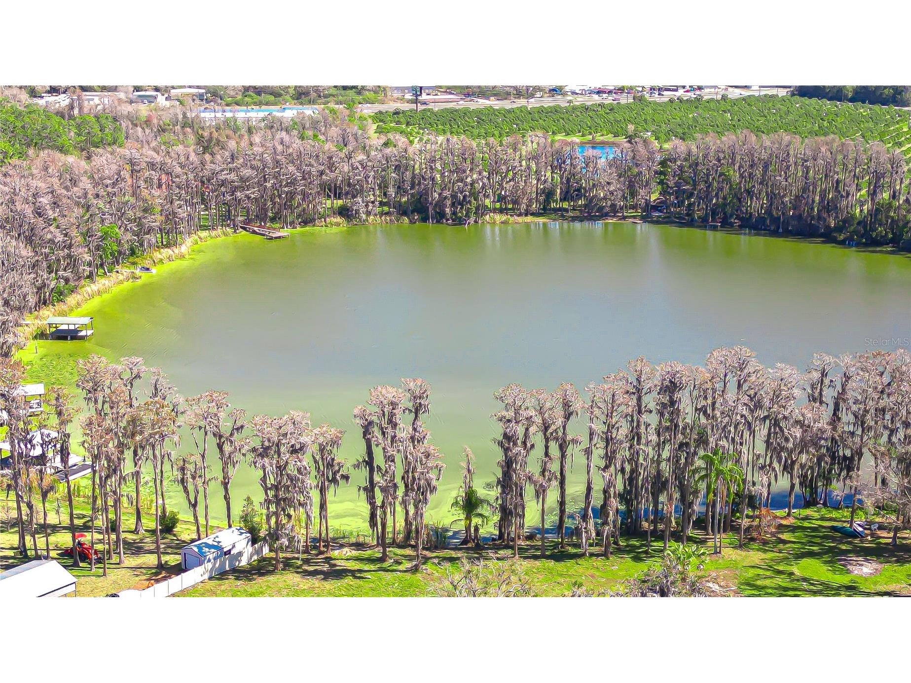 6608 Wisteria Loop Land O Lakes FL 34638 - LAKE THOMAS TB8480079 image16