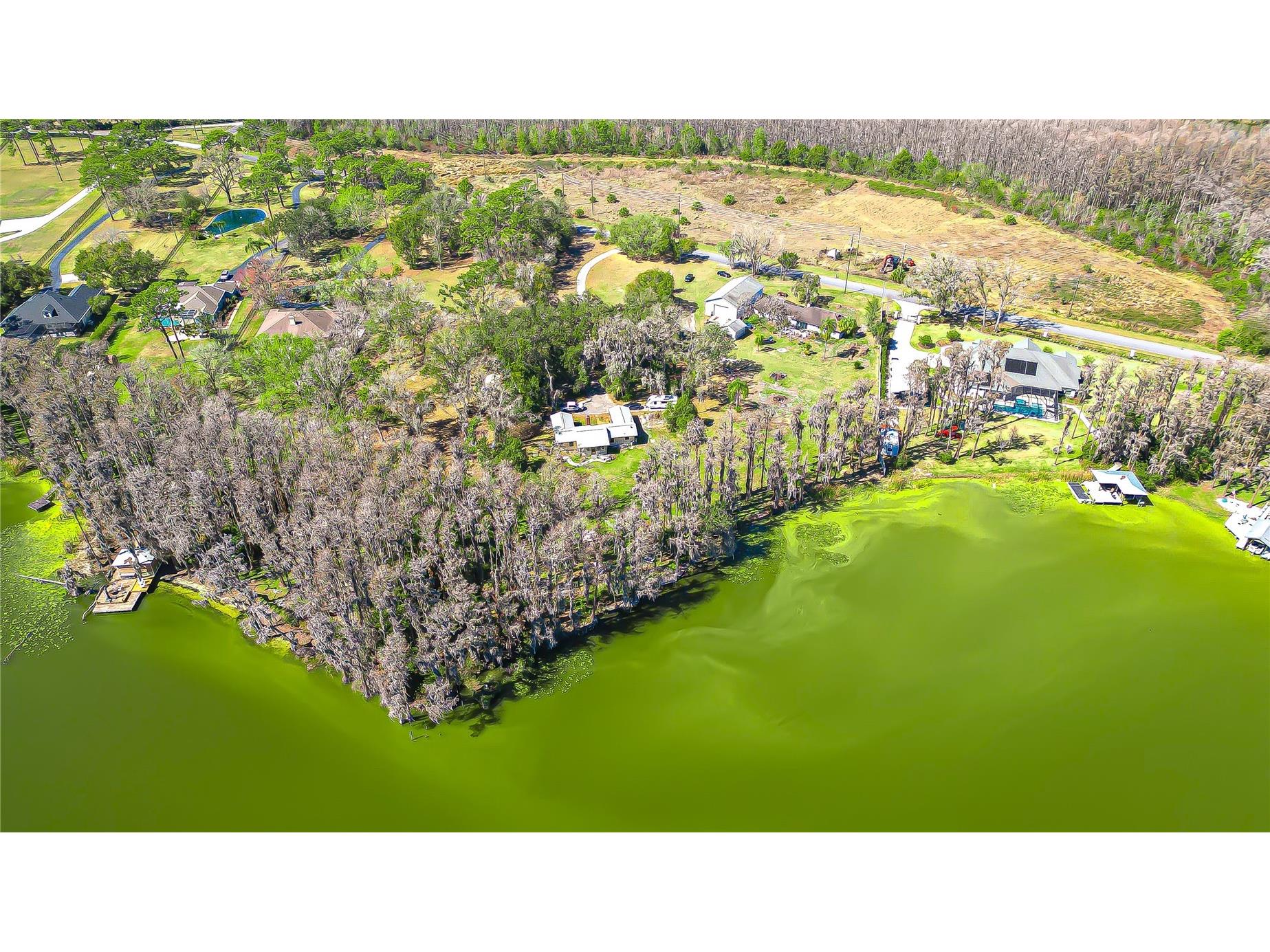 6608 Wisteria Loop Land O Lakes FL 34638 - LAKE THOMAS TB8480079 image19
