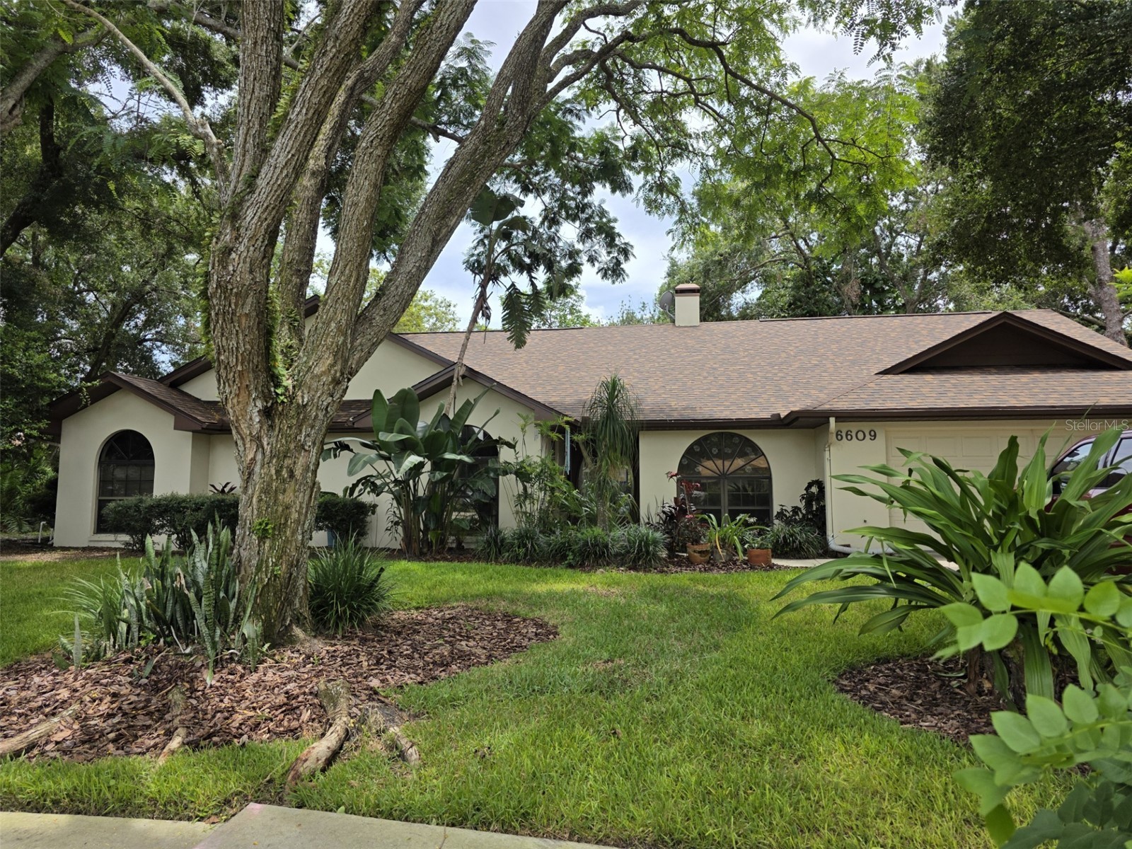 6609 Baybrooks Circle Temple Terrace FL 33617 TB8406861 image1