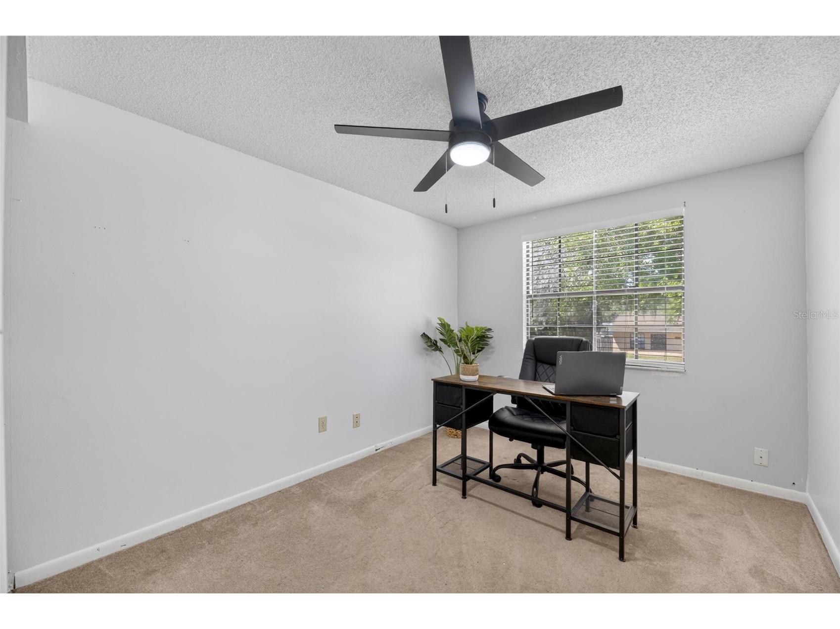 6609 Jennifer Drive Temple Terrace FL 33617 TB8499139 image33