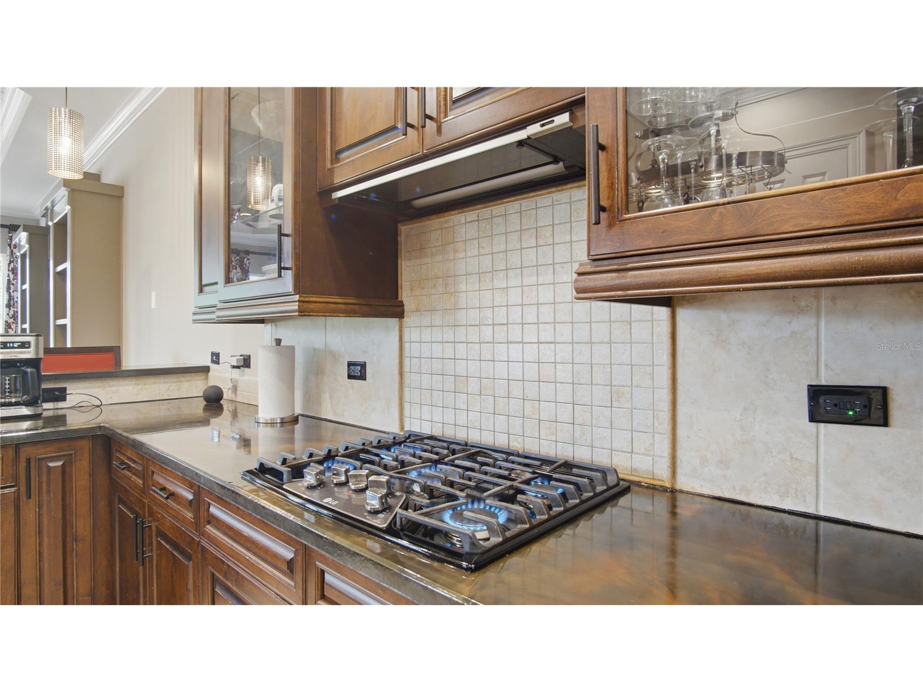 6609 SW 179th Avenue Road Dunnellon FL 34432 OM724458 image29