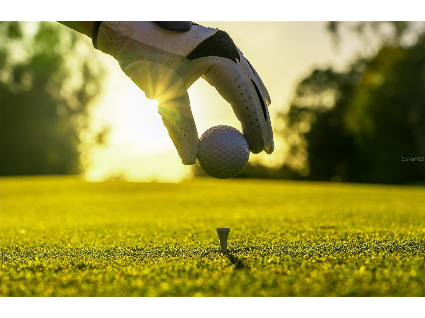 661 Mahogany Run Palm Coast FL 32137 FC315418 image63