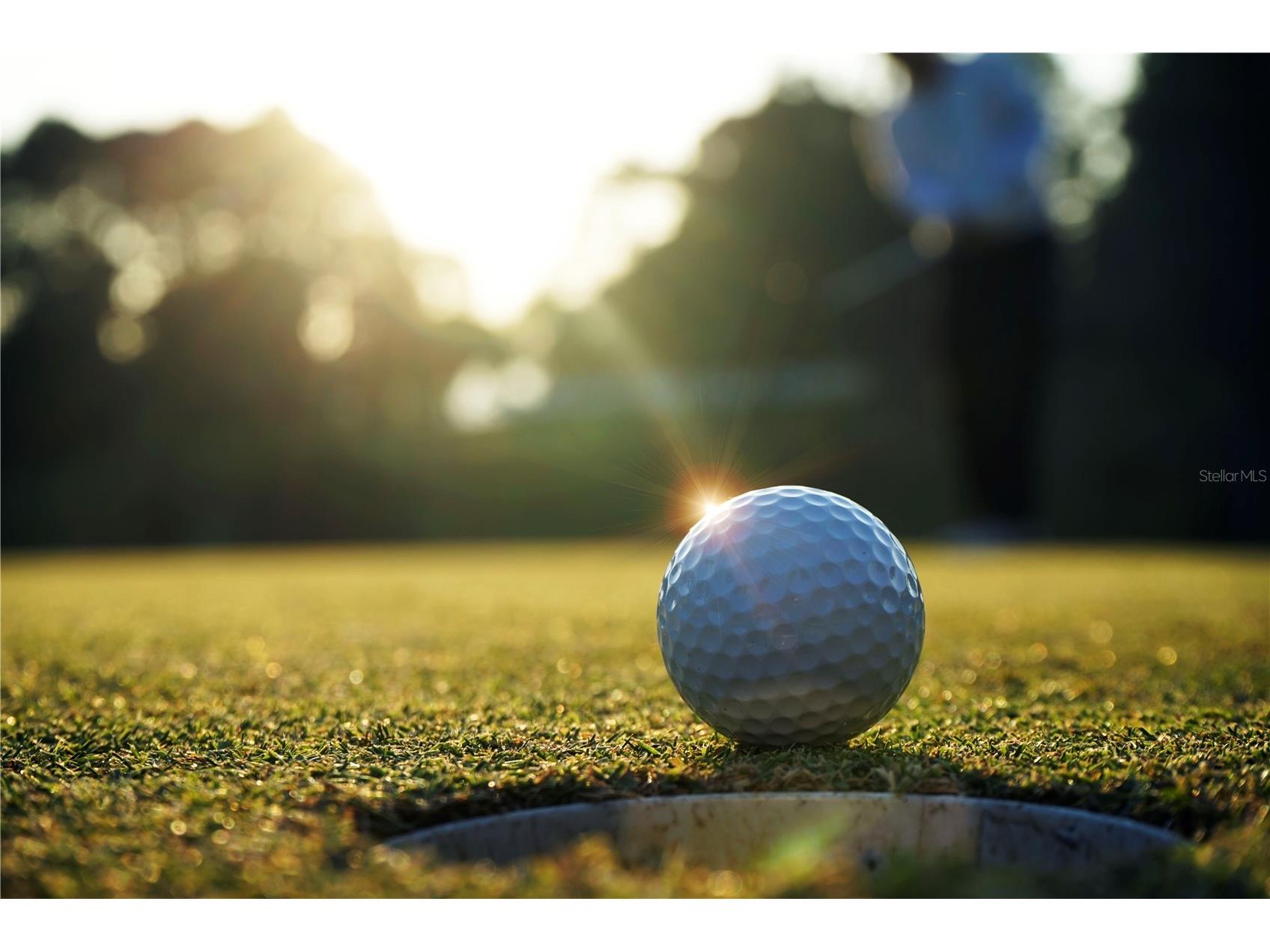 661 Mahogany Run Palm Coast FL 32137 FC315418 image65