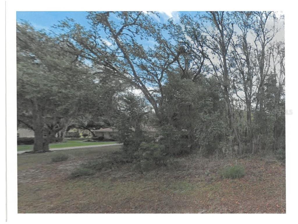 661 N Fresno Avenue Hernando FL 34442 J988821 image1