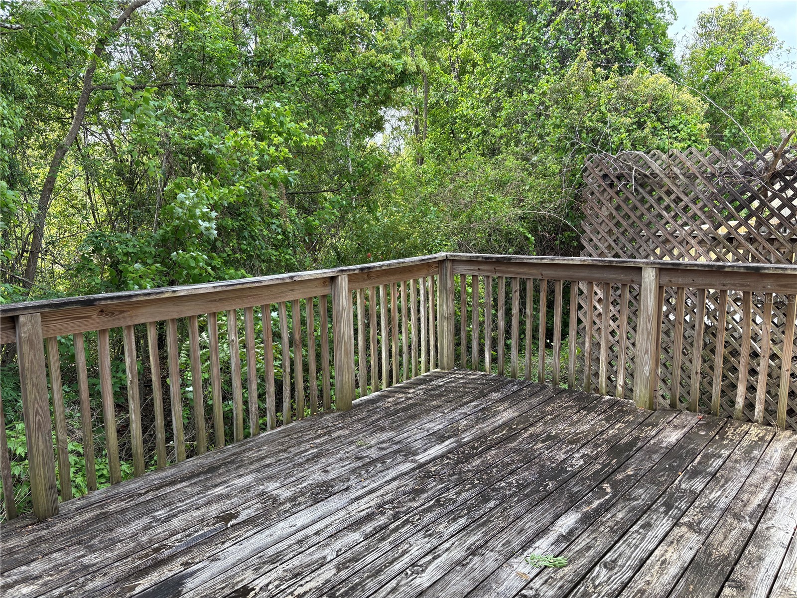 661 N Wildflower Court Longwood FL 32750 O6395227 image26