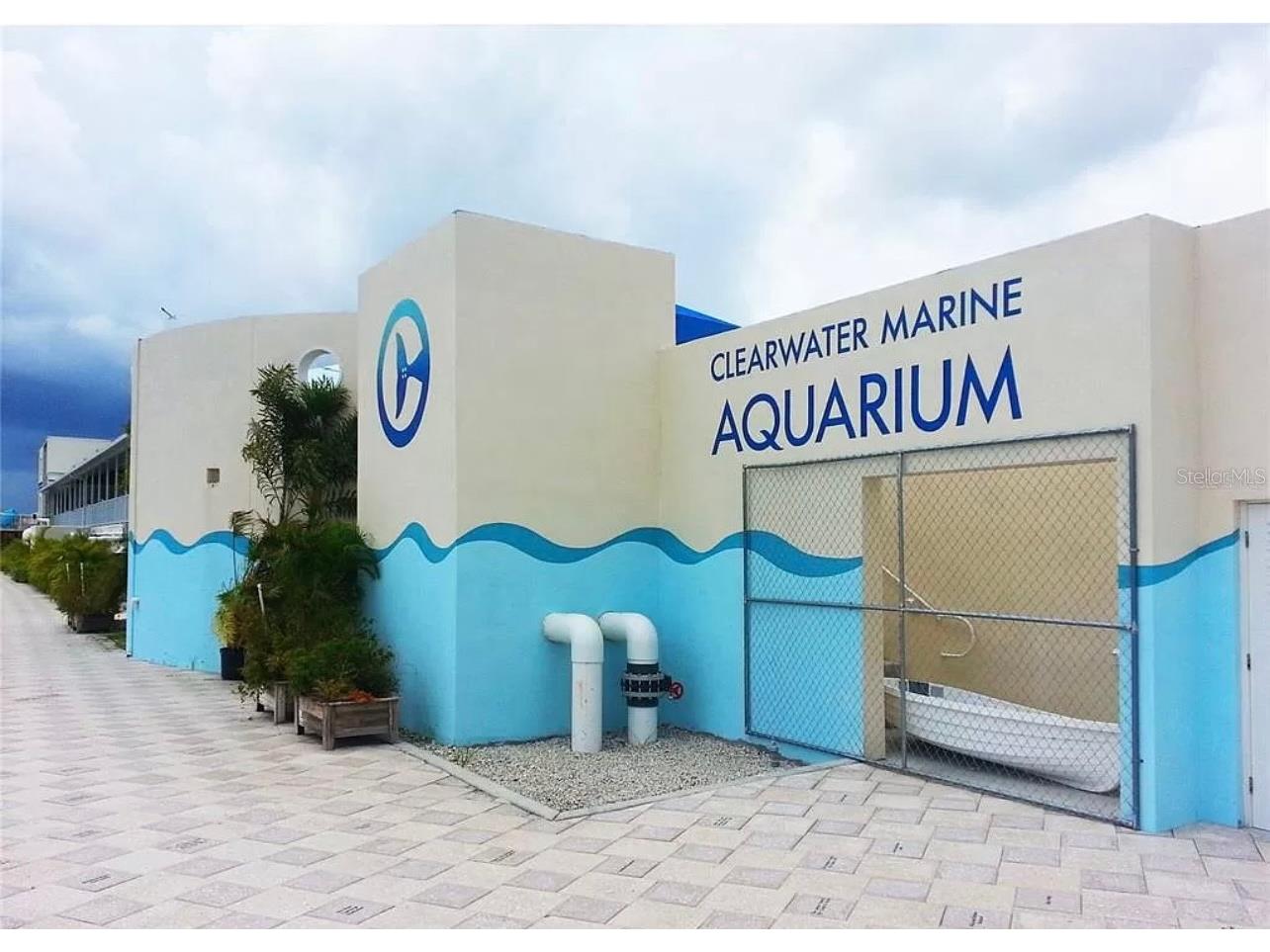 661 Poinsettia Avenue #104 Clearwater Beach FL 33767 TB8494525 image32