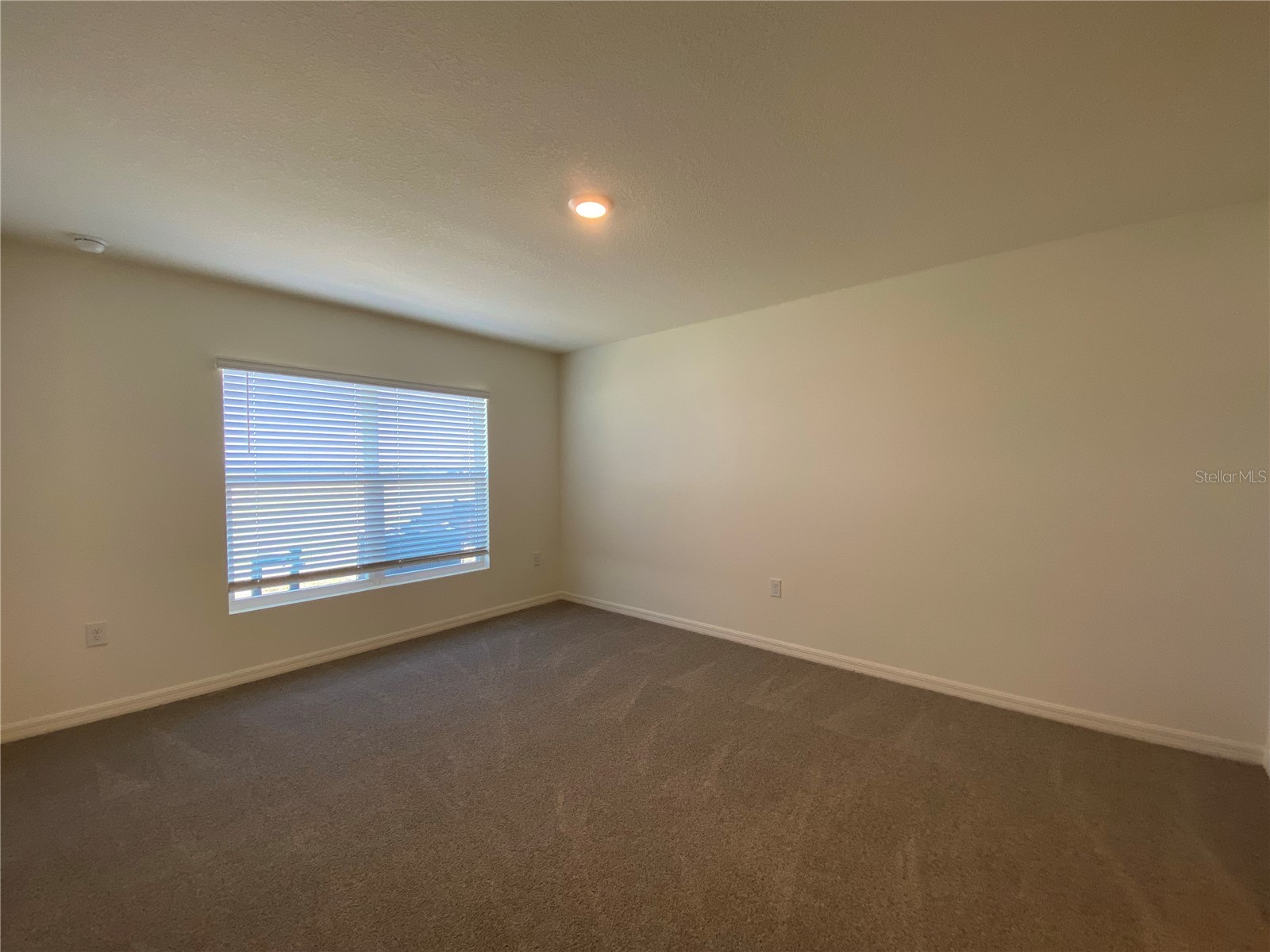 661 W Twisted Oaks Drive Beverly Hills FL 34465 OM718185 image29
