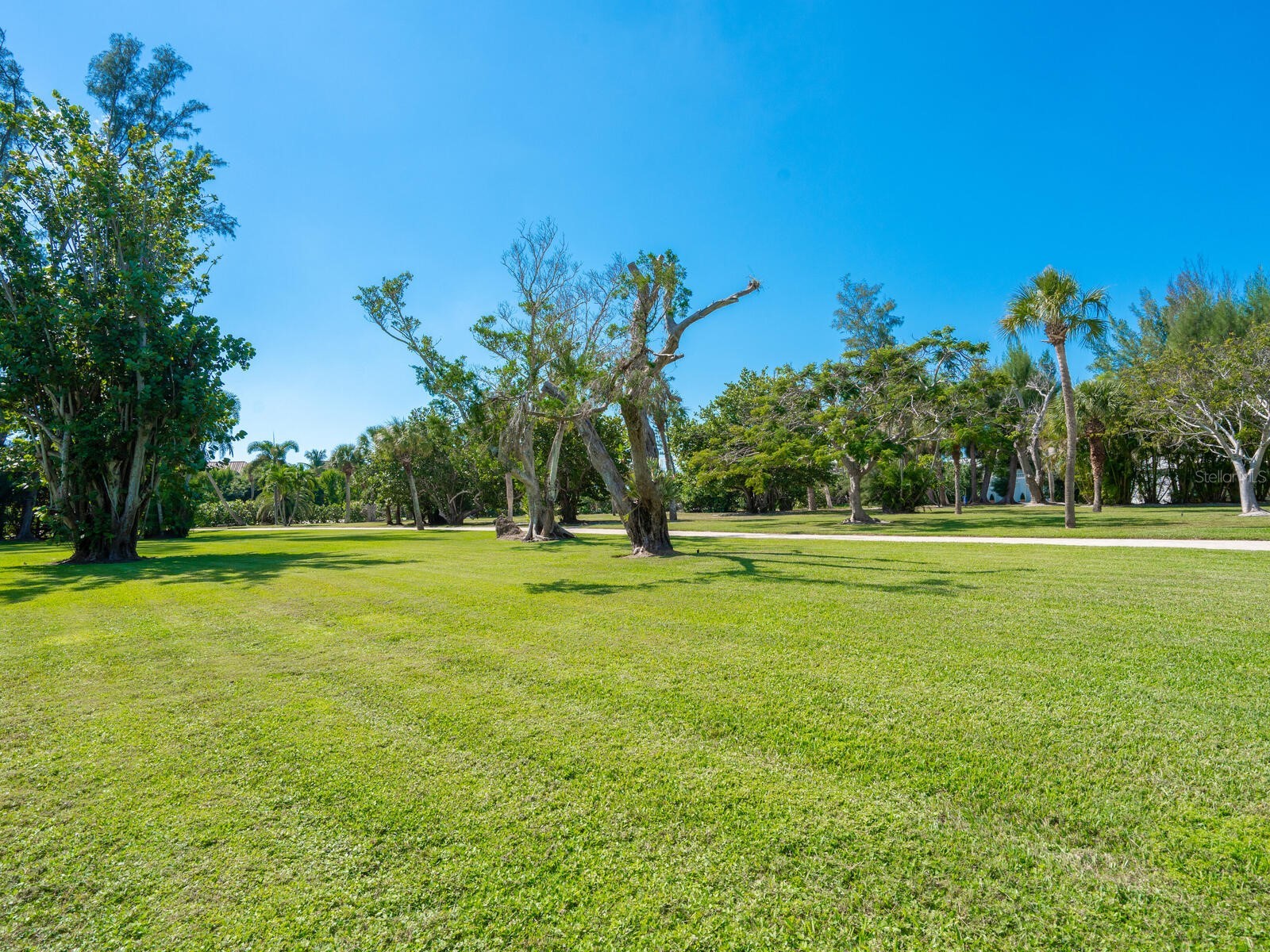 6610 Gulf Of Mexico Drive Longboat Key FL 34228 A4681242 image64