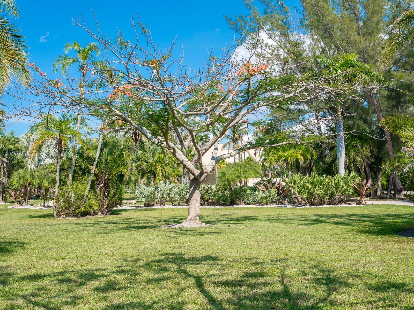 6610 Gulf Of Mexico Drive Longboat Key FL 34228 A4681242 image66